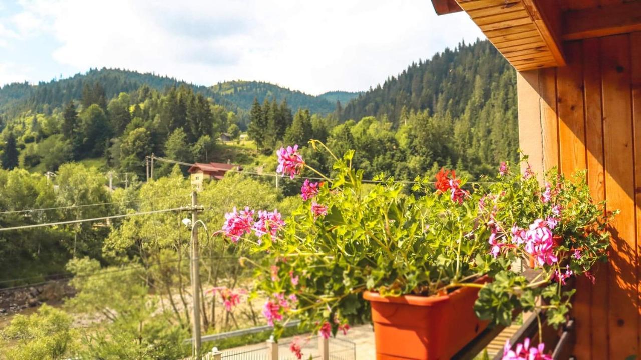 Hotel Casa Poiana Teiului Exteriér fotografie