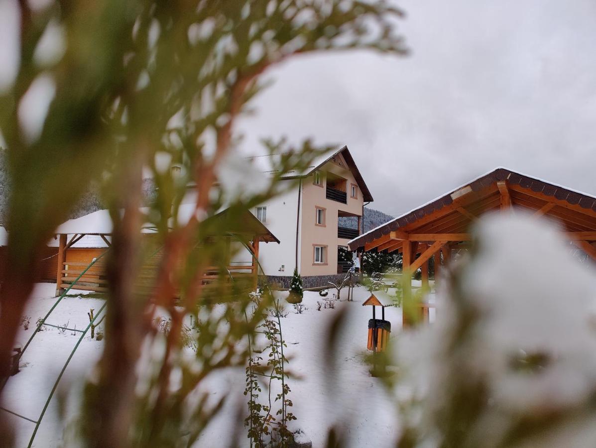 Hotel Casa Poiana Teiului Exteriér fotografie
