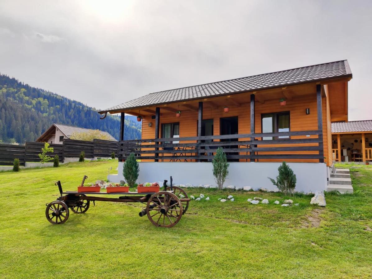 Hotel Casa Poiana Teiului Exteriér fotografie