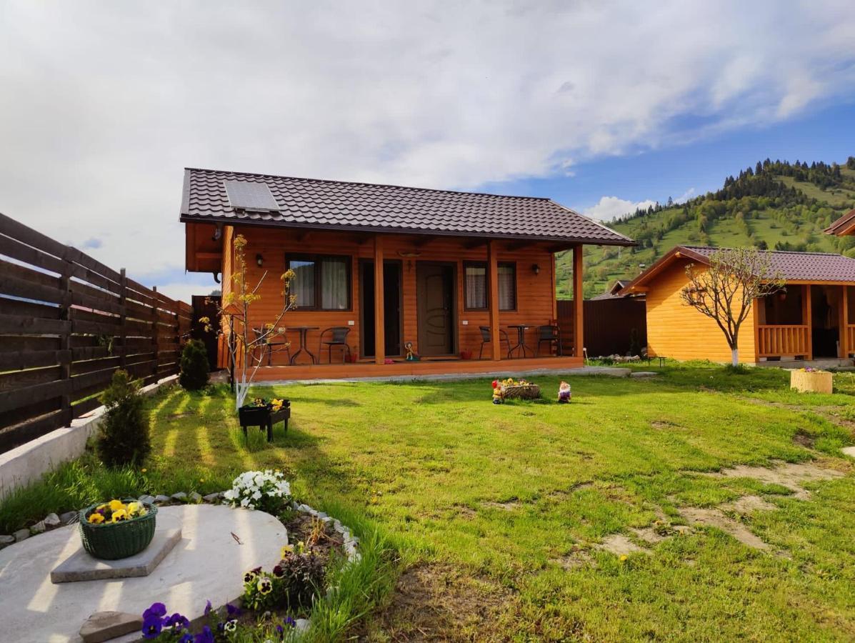 Hotel Casa Poiana Teiului Exteriér fotografie